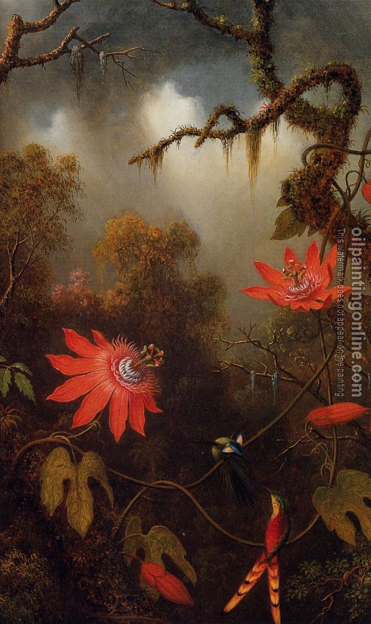 Heade, Martin Johnson - Two Hummingbirds Perched on Passion Flower Vines